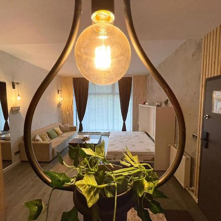 Mat Rent Poiana Brasov公寓 外观 照片