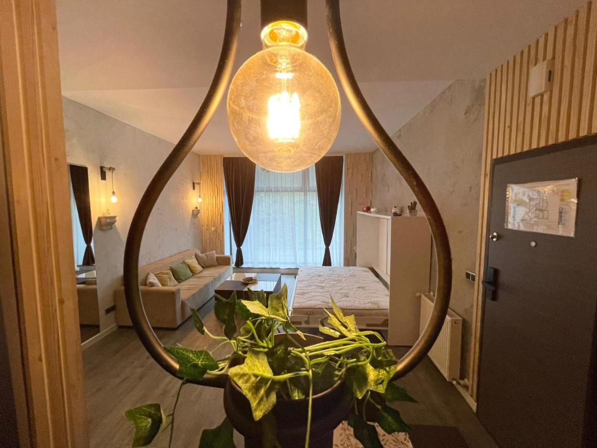 Mat Rent Poiana Brasov公寓 外观 照片